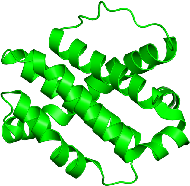 <div Class='caption-body'>1 Copy Of Cath Domain < Clipart (800x800), Png Download