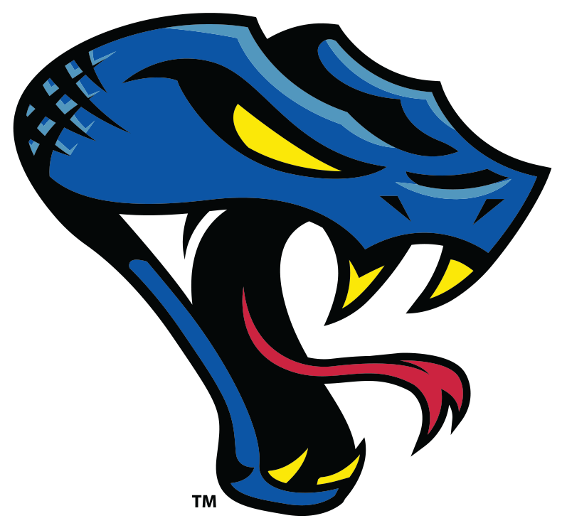 Columbus Cottonmouths Primary Logo - Columbus Cottonmouths Logo Clipart (840x837), Png Download
