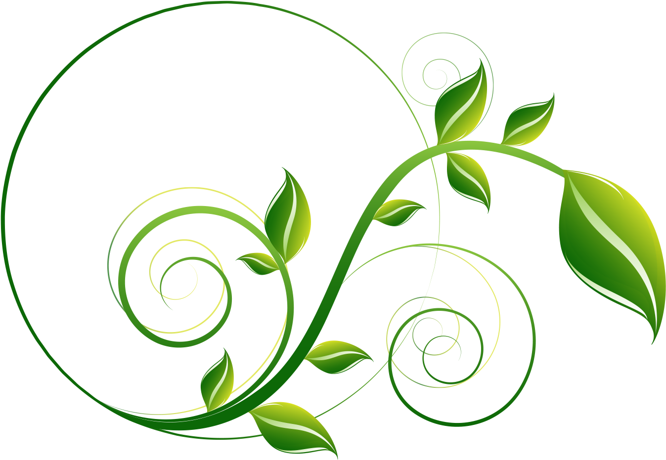 Decorative Leaf Png File Clipart (1534x1100), Png Download