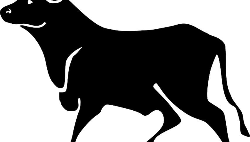 This Morning's Statements From The European Central - Transparent Bull Clipart Png (852x485), Png Download