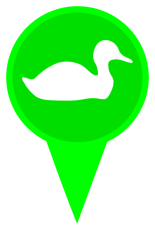 Algarve Birdwatching - Illustration Clipart (500x779), Png Download