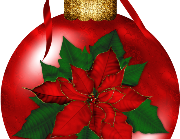 Christmas Poinsettia Clipart - Transparent Poinsettia Images Christmas - Png Download (640x480), Png Download