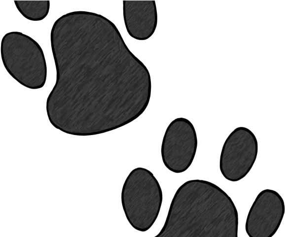 Wildcat Clipart Bear Claw - Paw - Png Download (640x480), Png Download