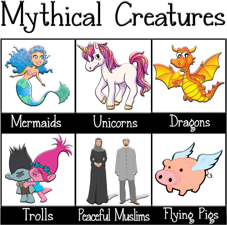 Grace4theusa's Gallery - Cartoon Clipart (800x800), Png Download