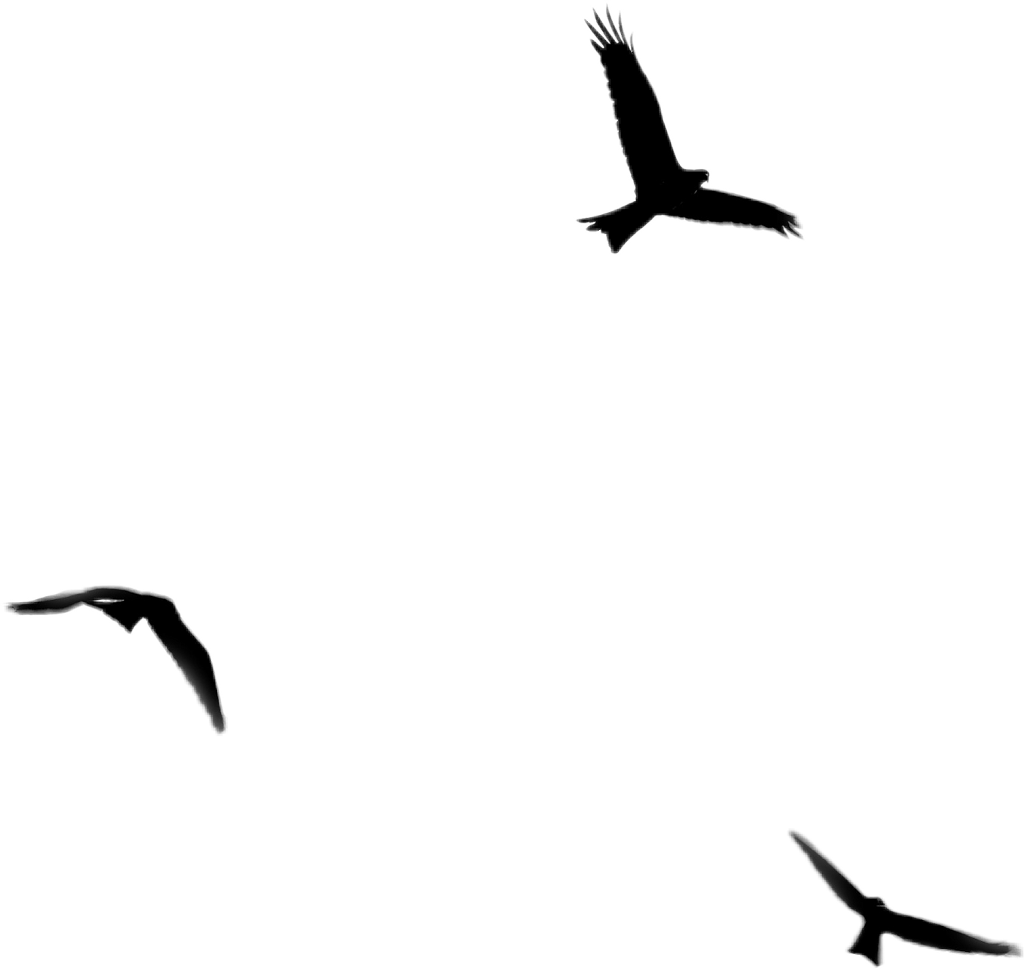 Birds Sticker - Alhamdulillah Clipart (1024x969), Png Download