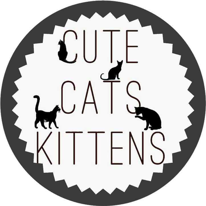 Shoutout On Buysellshoutouts - Muslim Logos Clipart (800x800), Png Download