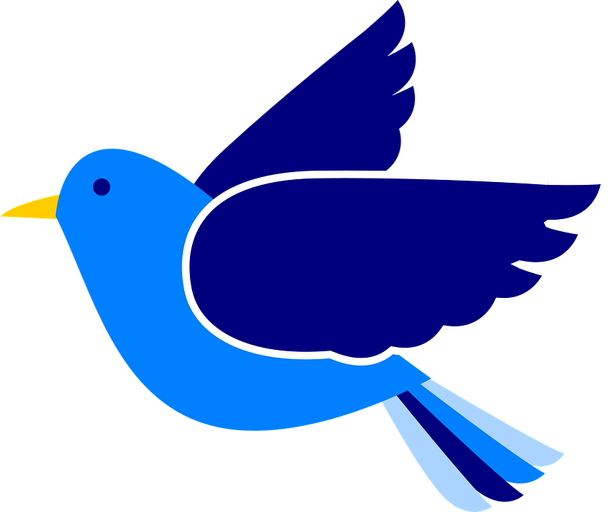 Clipart Of Humanitarian, Bird At And Dove Bird Peace - Bird Clip Art - Png Download (856x720), Png Download