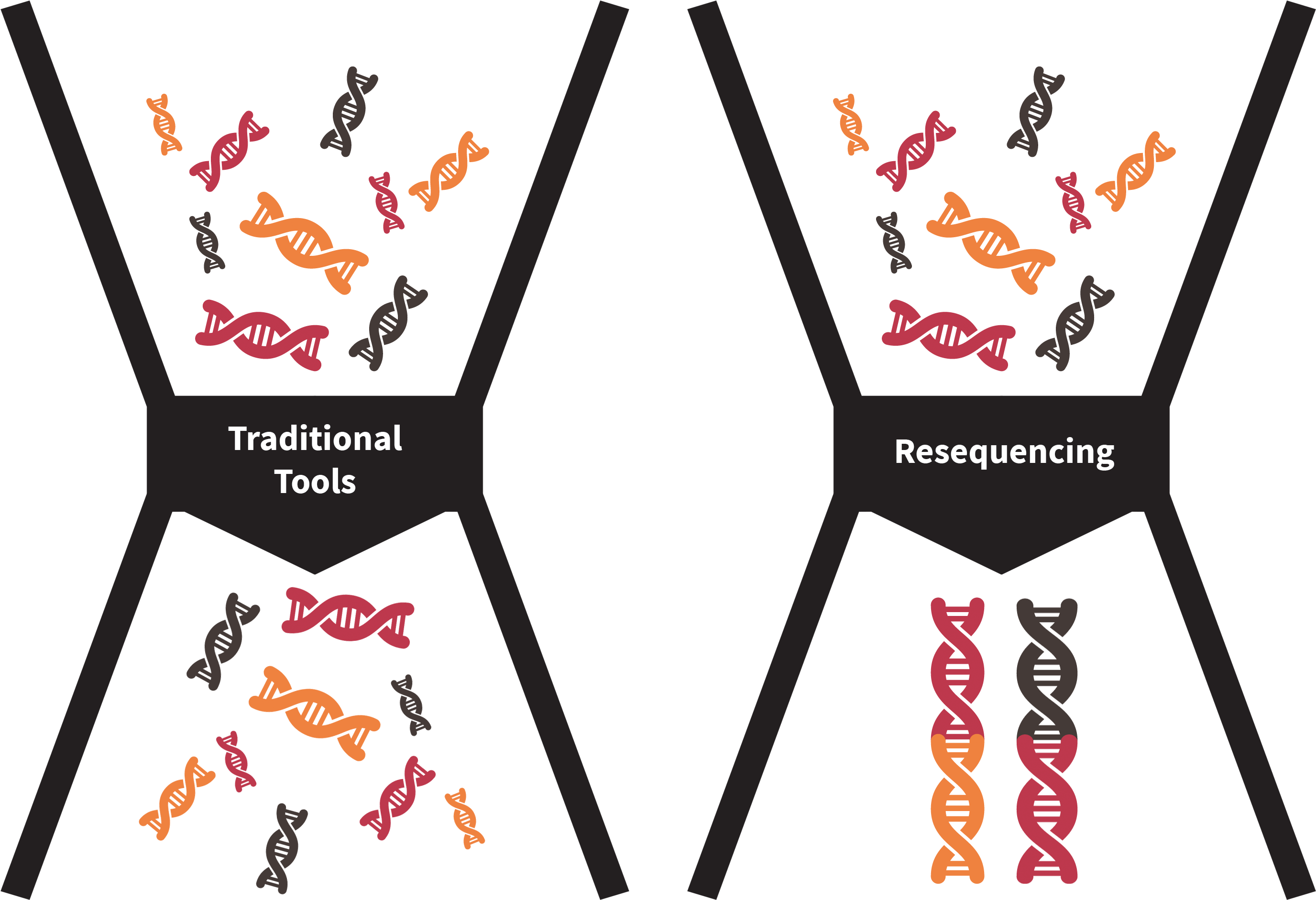 Graham Randall And Mark Roach Of Quantuma Llp, The Clipart (2842x1961), Png Download
