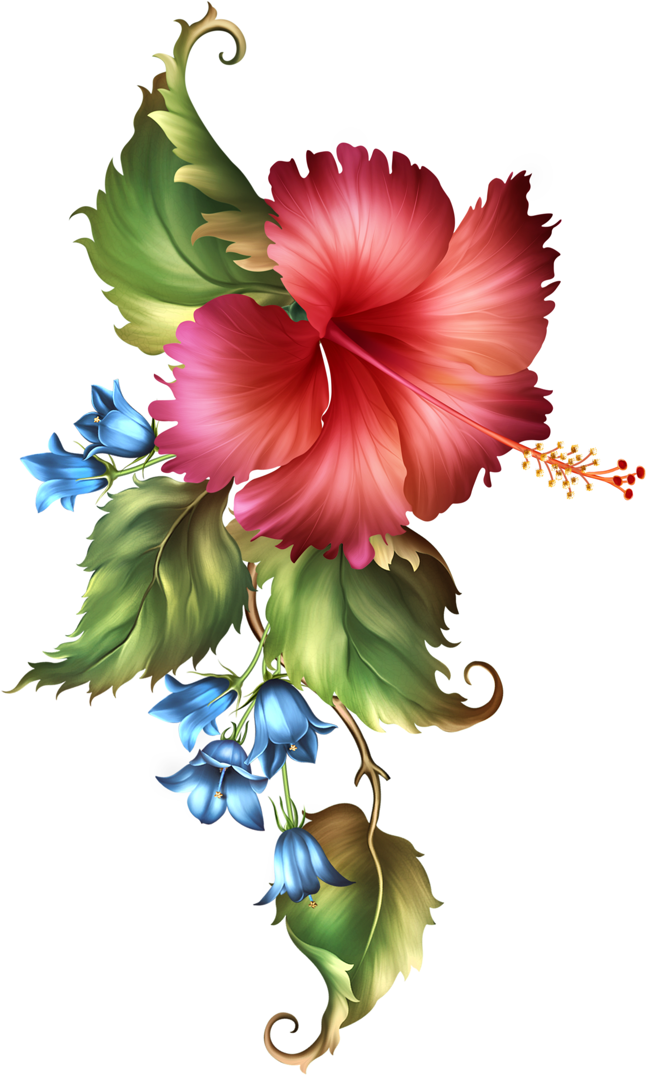 Fashionably Florale Hoe, Simply Beautiful, Flora, Frames, - Hawaiian Hibiscus Clipart (1336x2184), Png Download