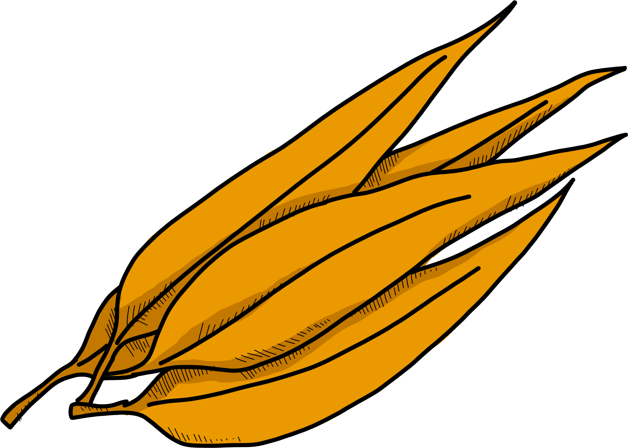 Citrus Clipart (2400x2400), Png Download