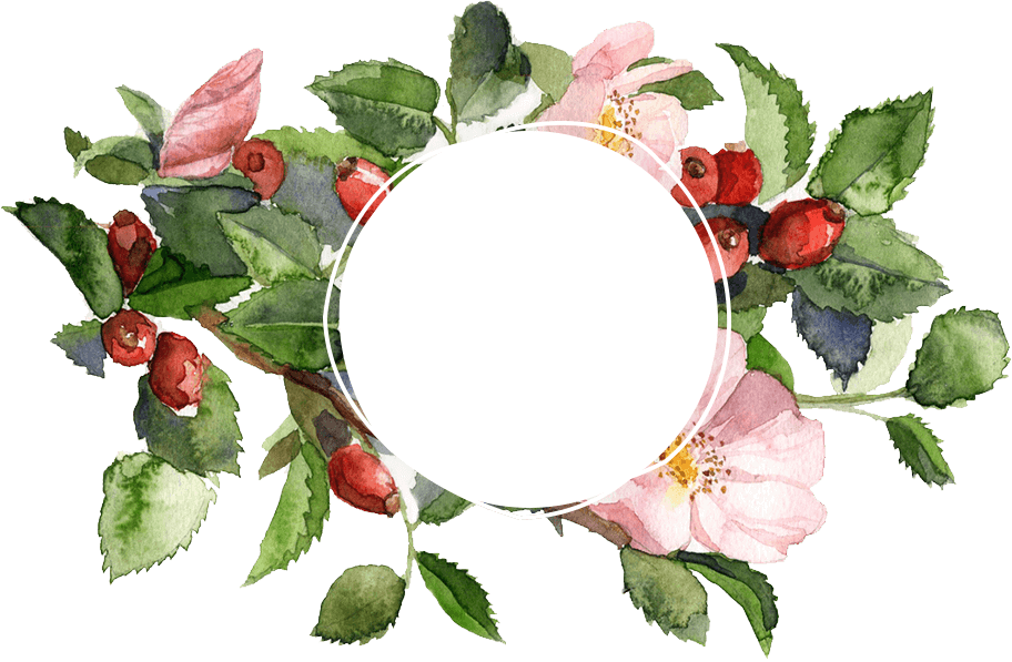 Garden Roses Clipart (912x597), Png Download