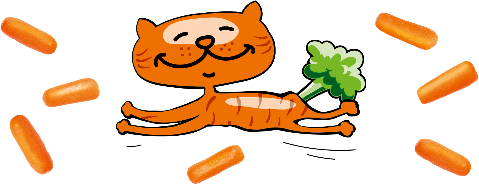 As The Carrot Grows On Uventa's Own Fields, The Company Clipart (1800x672), Png Download