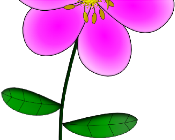 Hydrangea Clipart Cartoon - Png Download (640x480), Png Download