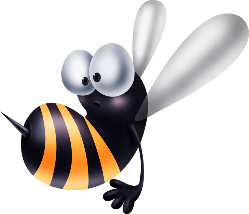Illustration, Clip Art, Insects, Bugs, Illustrations, - Cartoon - Png Download (800x687), Png Download