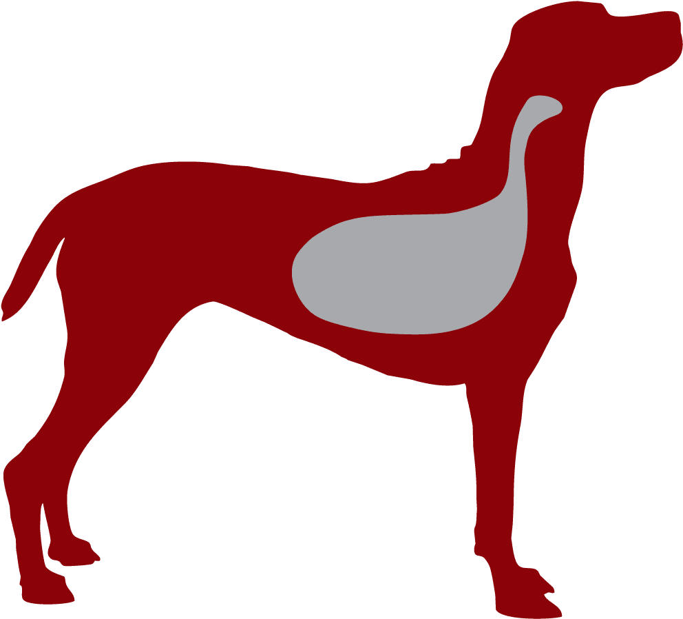 Redpaw Is Highly Digestible, Meaning The Nutrients - Dog Clipart (1034x941), Png Download