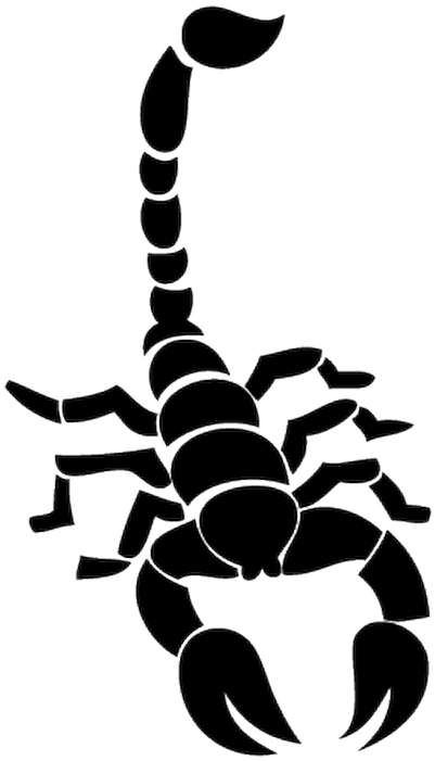 Scorpion Stencil Clipart (800x800), Png Download