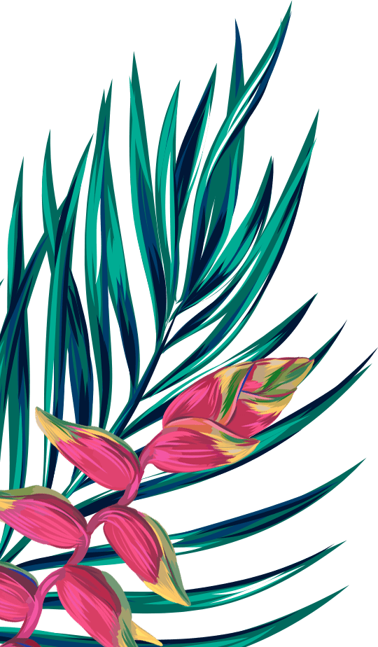 It's Never Too Late To Start Your Yoga Practice Clipart (540x924), Png Download