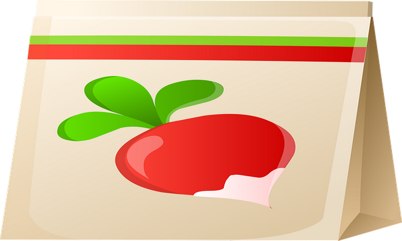 Radish Seeds Png Clipart (800x480), Png Download