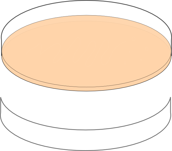 Plate Clipart Orange - Clip Art - Png Download (600x525), Png Download