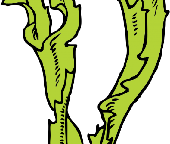 Seaweed Clipart Printable - Seaweed Clip Art - Png Download (640x480), Png Download