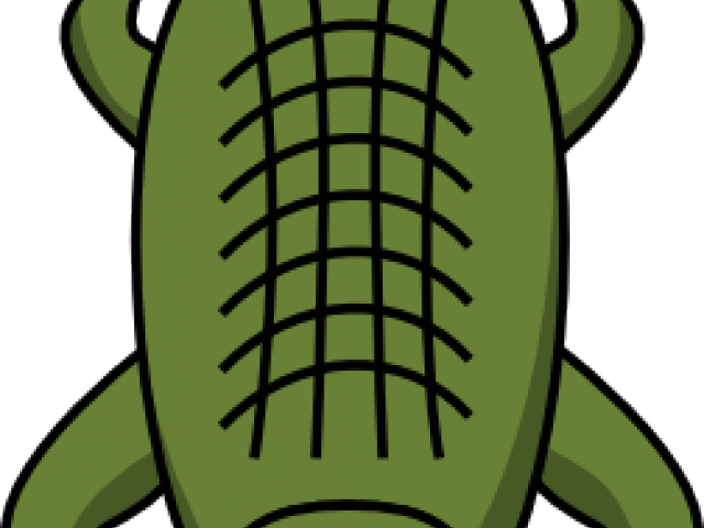 Crocodile Clipart Clip Art - Alligator Top View Drawing - Png Download (640x480), Png Download