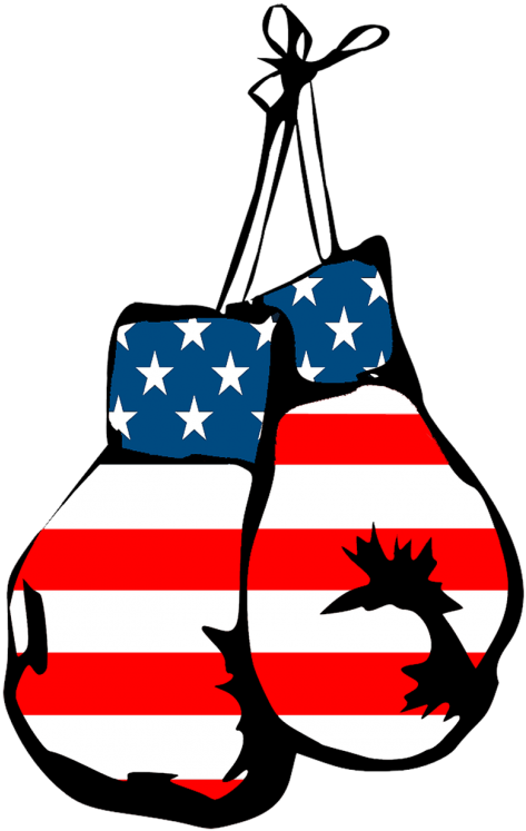 Boxing Gloves Clipart American Flag - Mexican Boxing Glove Clipart - Png Download (464x720), Png Download
