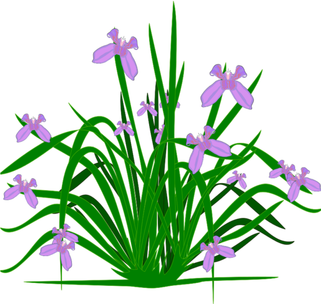 Free Clipart Plants Free Clipart Plants Plants Clip - Pvc Gutter Herbs Garden - Png Download (1024x1024), Png Download