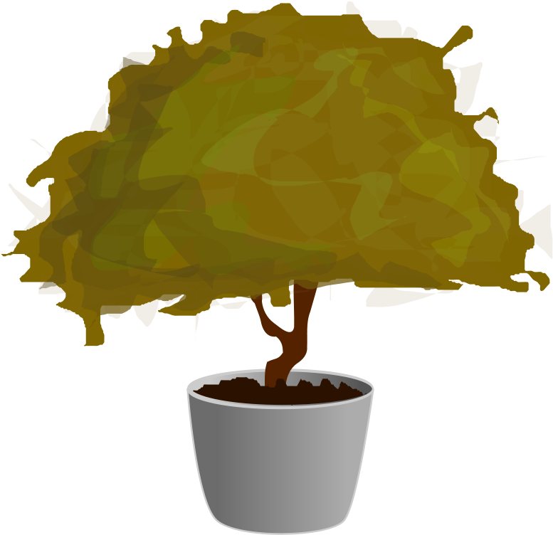 Planta / Plant Png Images Clipart (600x582), Png Download