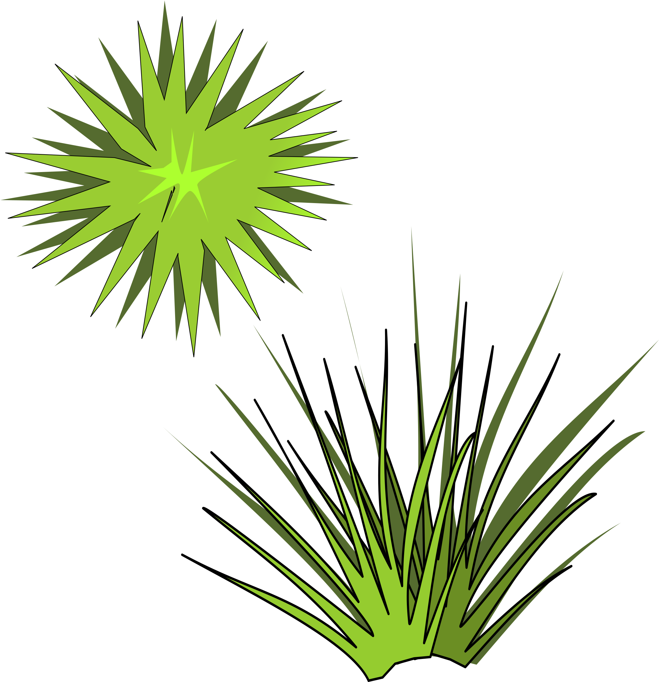 Clipart - Plant-05 - Plant Illustration From Above - Png Download (800x800), Png Download