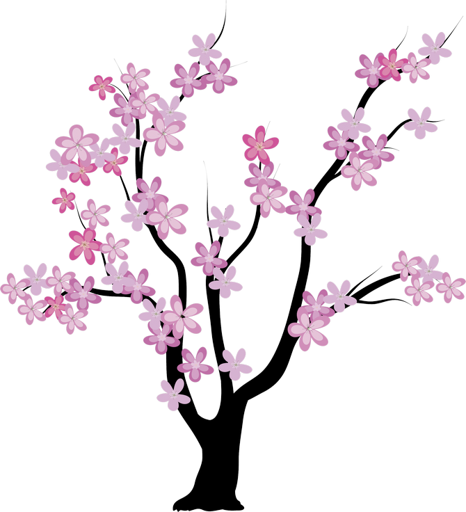 Tree Illustration - Cherry Blossom Family Tree Clipart (670x736), Png Download