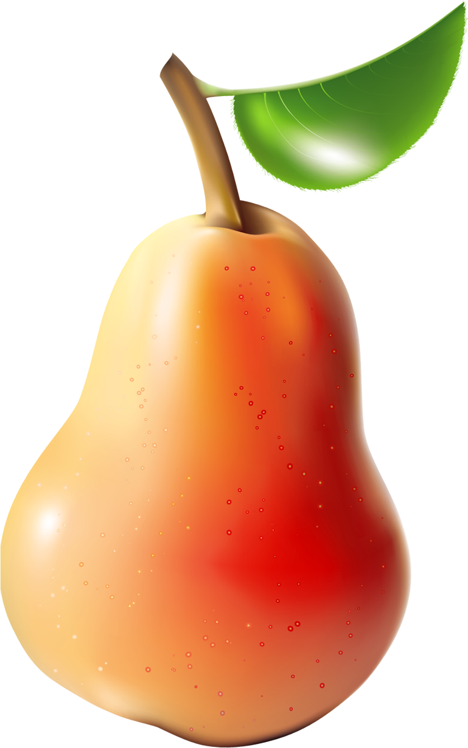 Pear Png Clipart - Clip Art Transparent Png (1053x1539), Png Download