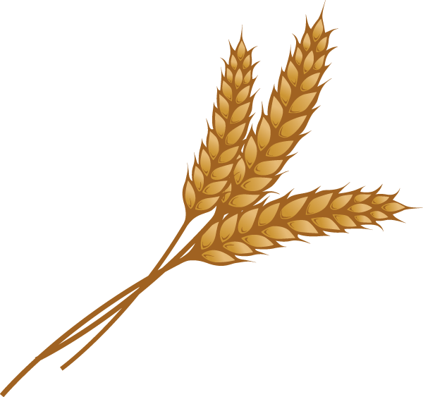 Wheat Clipart - Png Download (600x563), Png Download