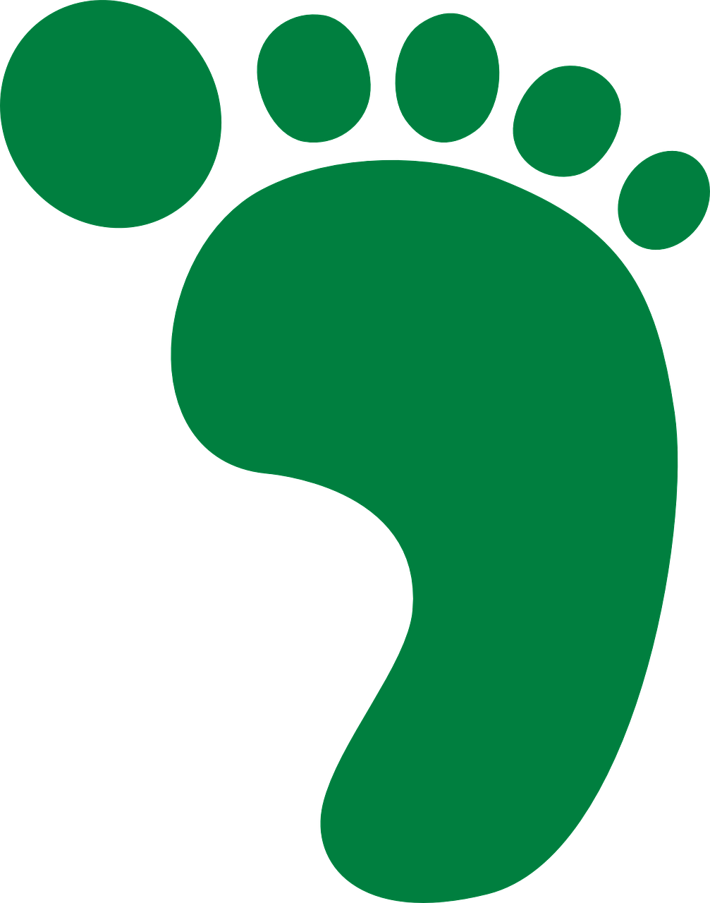 Footprint Clipart Tortoise - Foot Print - Png Download (567x720), Png Download