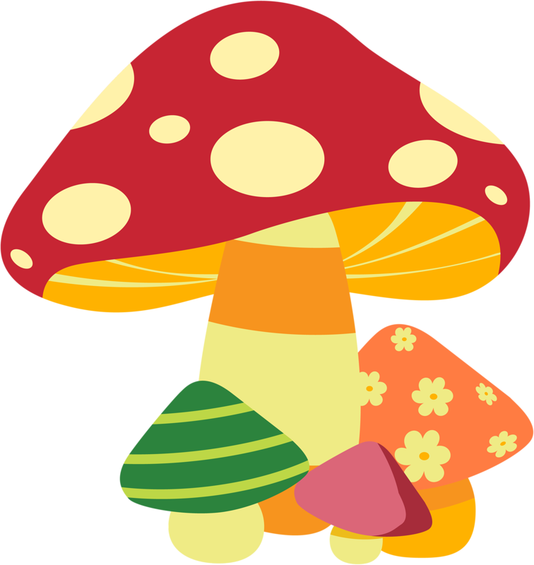 Album - Champignon Png Clipart (756x800), Png Download