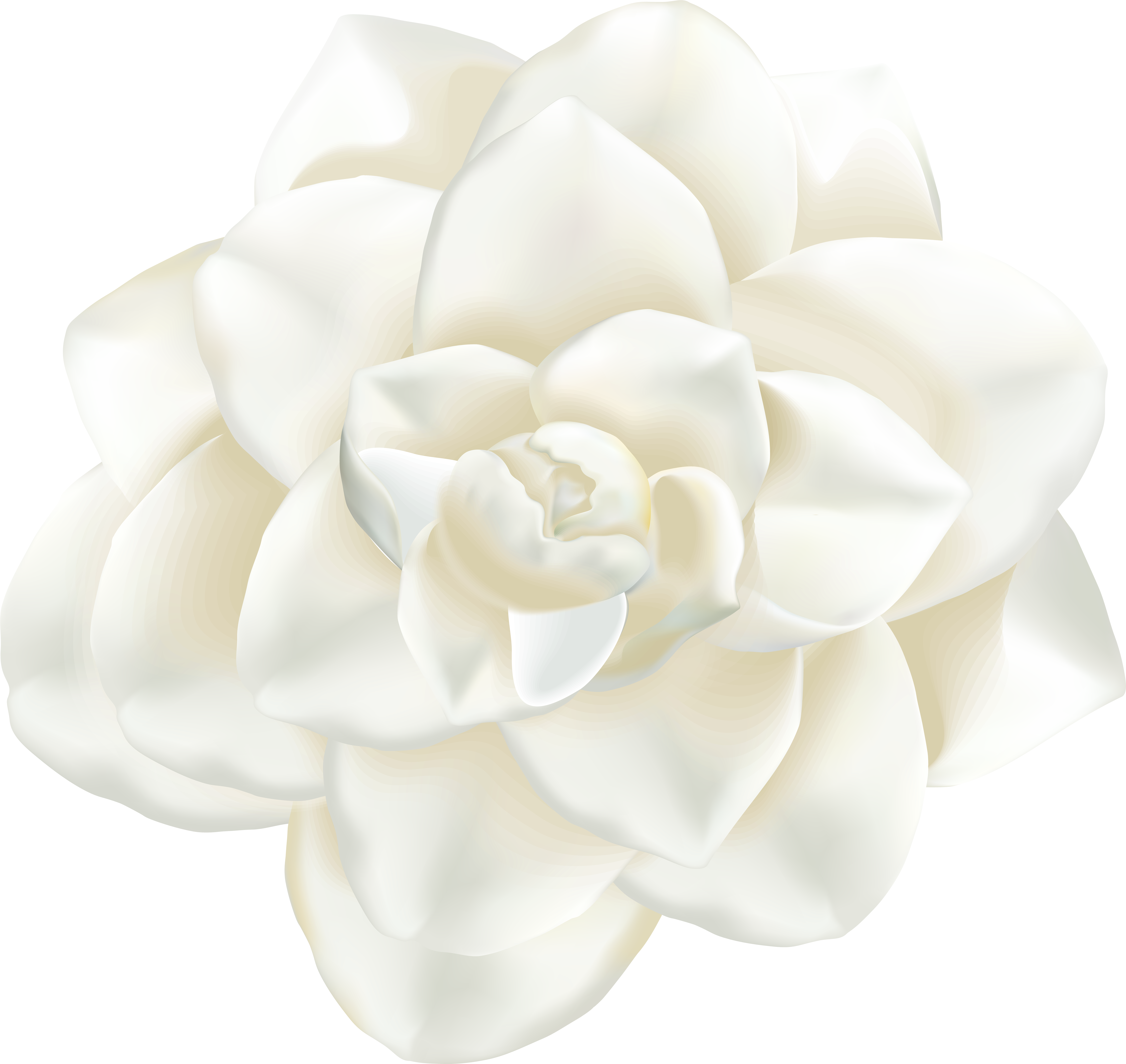 Flower Clipart Png Transparent Png (8000x7556), Png Download