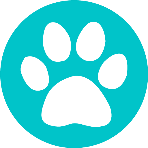 Paw Clipart Pet Sitting - Te37sl Pressed Graphite - Png Download (572x550), Png Download