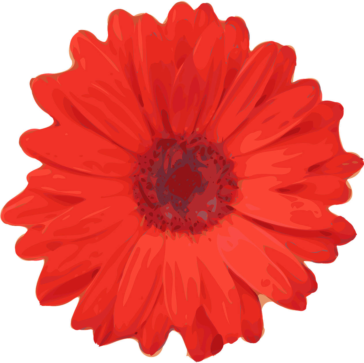 Red Flower Clip Art - Png Download (588x597), Png Download