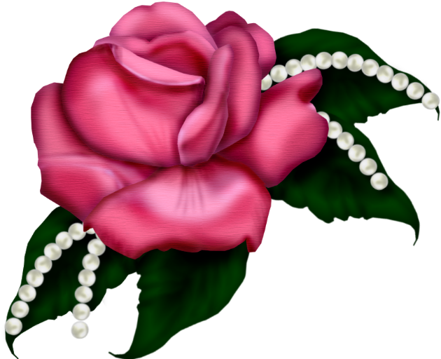 Flôres & Jardim E - Haben Sie Schöner Die Rote Rosen-blüte Der Mutter Karte Clipart (671x545), Png Download