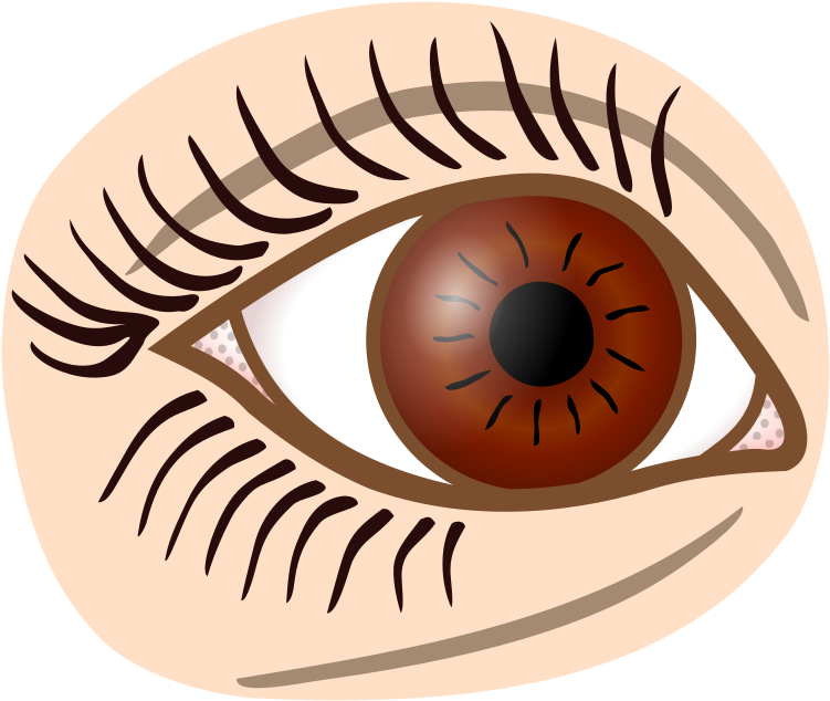 Medium Image - Simple Line Drawing Eye Clipart (800x683), Png Download