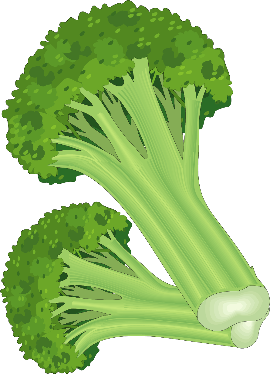 Leaf Vegetable Fruit Carrot Clip Art - Clip Art Of Vegetables - Png Download (890x1234), Png Download