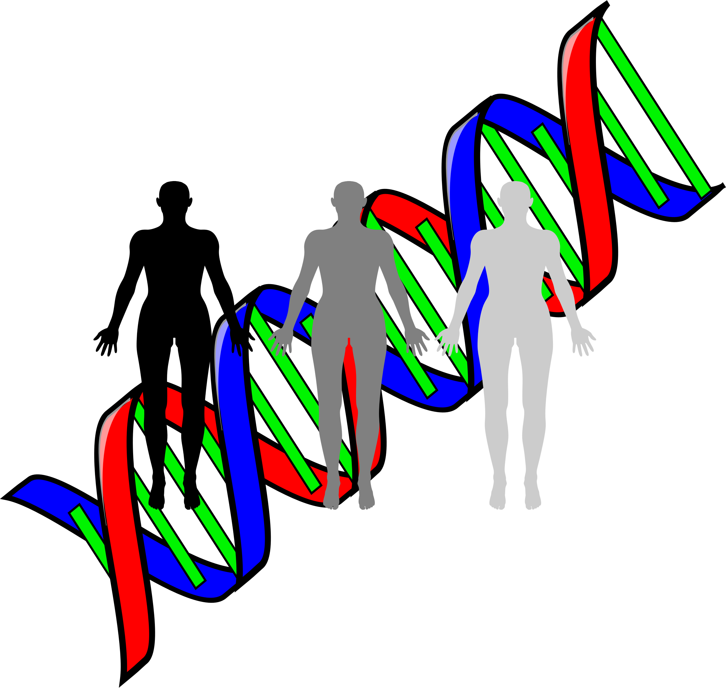 Jpg Transparent Library Human Cloning Big Image Png - Double Helix Clip Art (2400x2276), Png Download