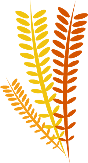 Thanksgiving Clipart Thanksgiving Clipart Free Clipart - Transparent Thanksgiving Clip Art - Png Download (600x630), Png Download