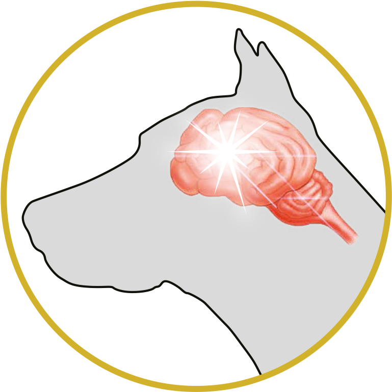 Omega-3 Benefits - - Illustration Clipart (839x854), Png Download