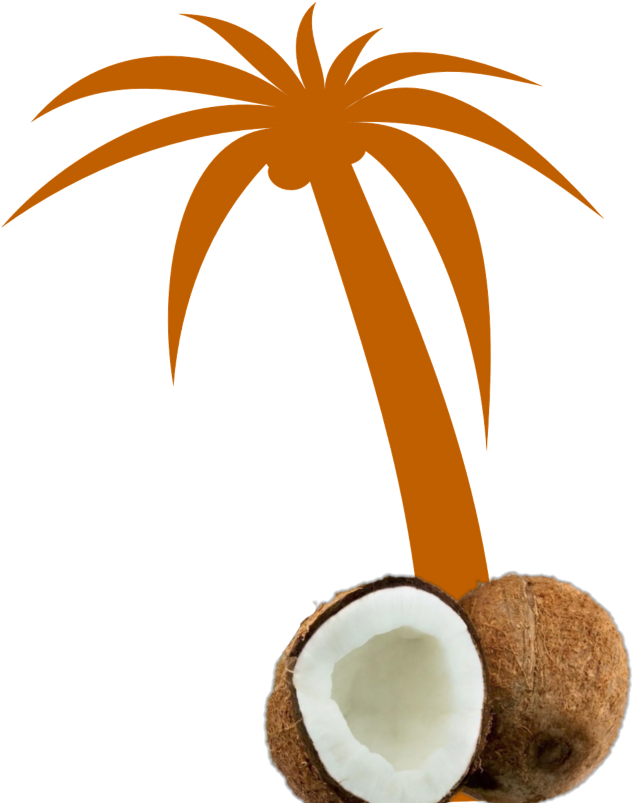 Mq Orange Palmtree Palm Coconut - Palm Tree Clip Art - Png Download (1024x1024), Png Download