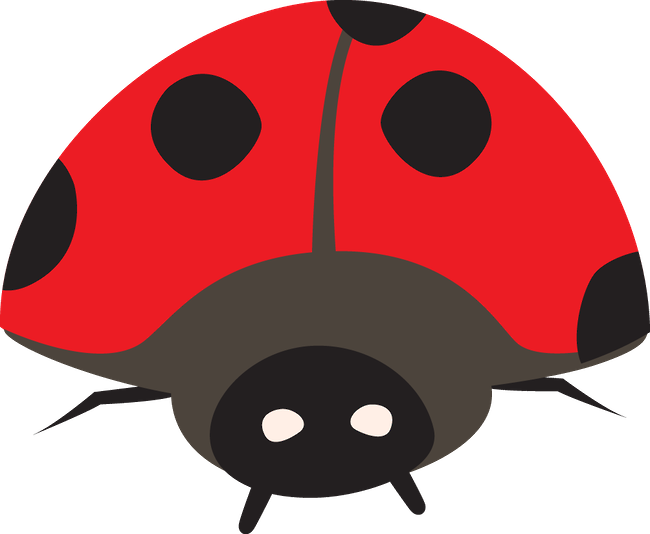 Joaninhas - Minus - Ladybug Clipart (650x534), Png Download
