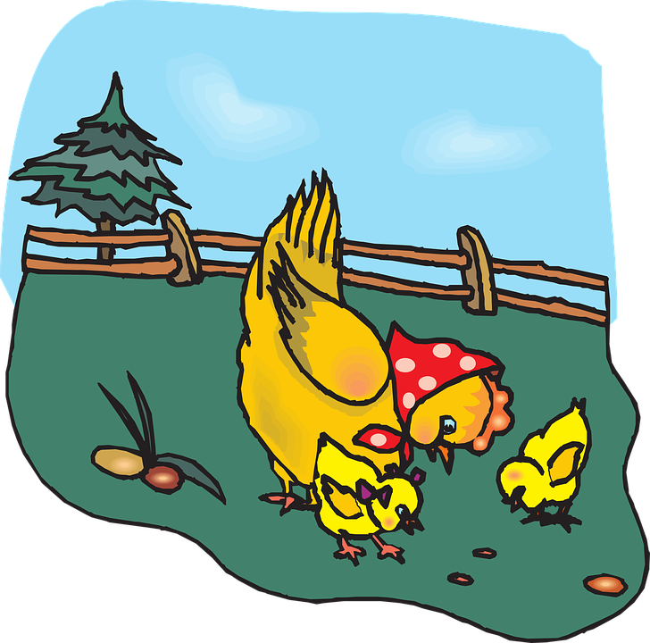 Clipart Of Feeds And Chicken Free - Png Download (728x720), Png Download