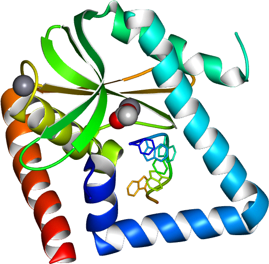 Database Information Clipart (768x768), Png Download