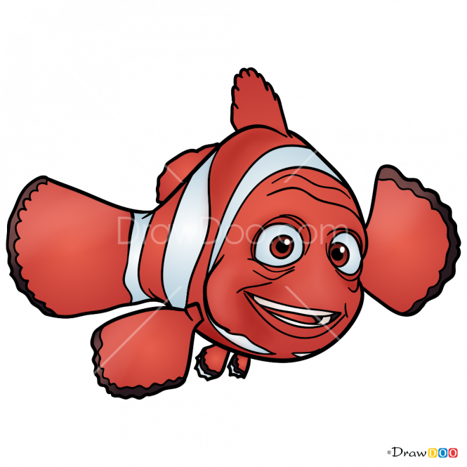 665 X 665 5 - Coral Reef Fish Clipart (665x665), Png Download