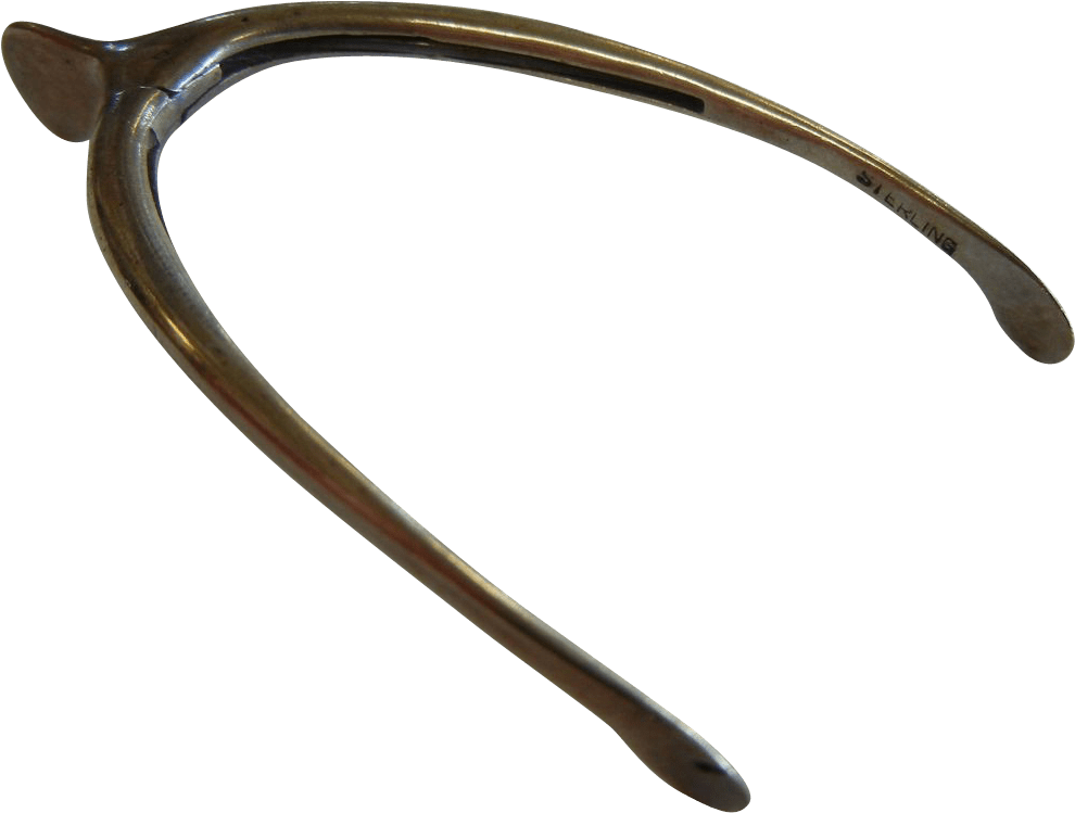 Download Sterling Wishbone Transparent Png - Wishbone Transparent Background Clipart (989x989), Png Download