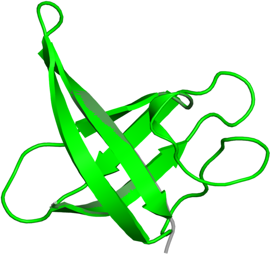 Graphic Design Clipart (800x800), Png Download